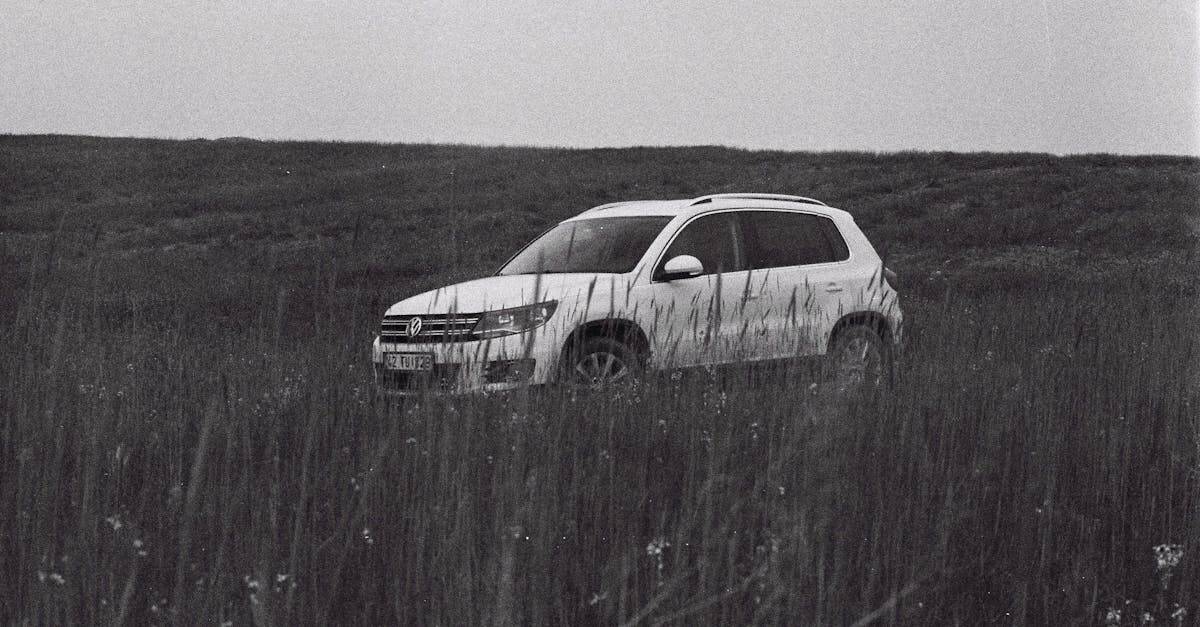 découvrez le volkswagen tiguan : un suv élégant, spacieux et performant, conçu pour offrir sécurité, confort et technologies innovantes. idéal pour la famille et les aventures urbaines ou hors route.